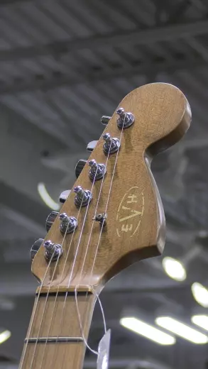 Store Special Product - EVH - 510-7900-576